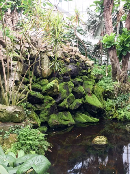 greenhouse with green plants pond