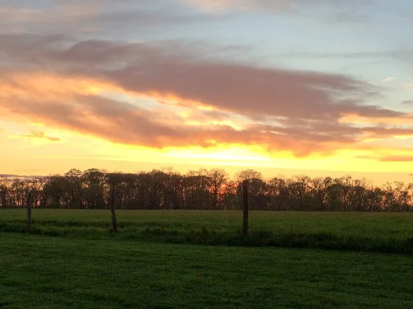 Puesta de sol sobre el campo de hierba verde — Foto de Stock