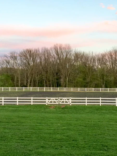 Білий вініловий паркан і зелена трава — стокове фото