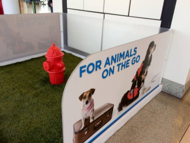 Köpek tuvaletinde sahte ot.