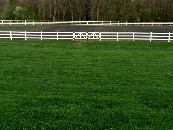 Pagar vinil putih dan rumput hijau — Stok Foto