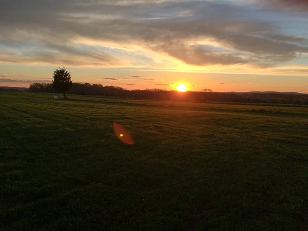 Solnedgång över grön gräsbevuxen mark — Stockfoto