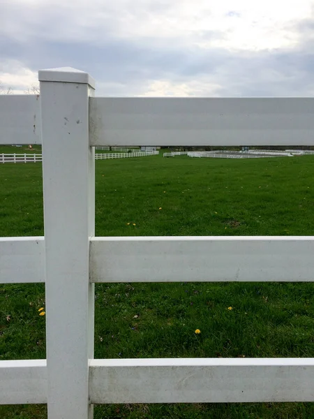 Πράσινο γρασίδι με λευκό φράχτη — Φωτογραφία Αρχείου