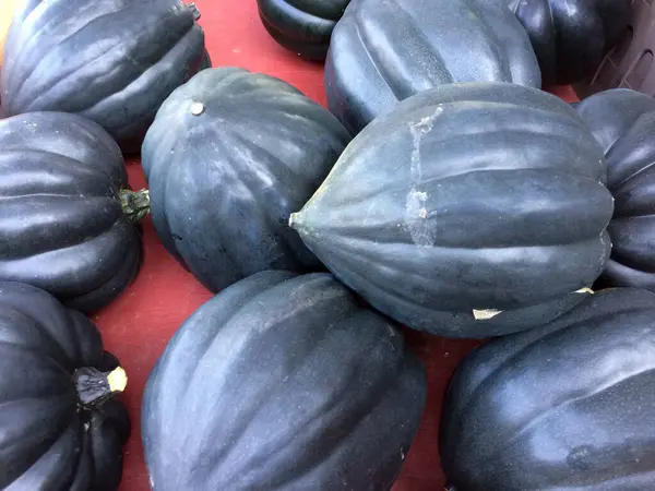 Gourdes noires exposées à la vente marché fermier — Photo