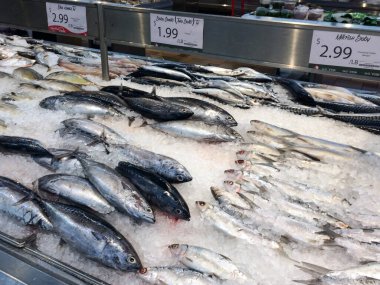 Çeşitli taze balıklar.