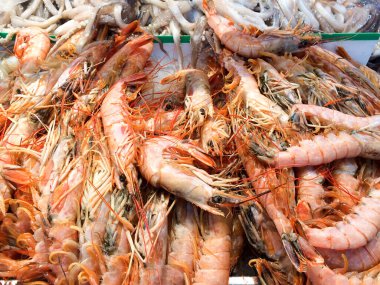 Çiğ kırmızı karides ıstakozu