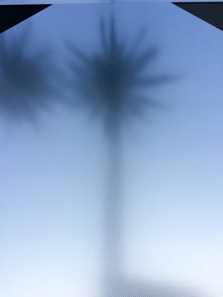 Cool abstract palm tree abstract backround — Stock Photo, Image