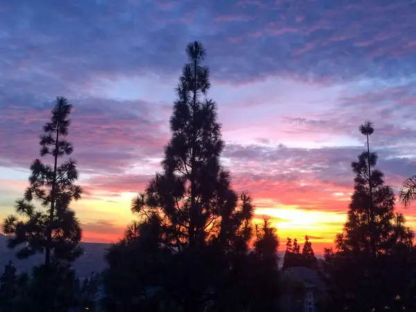Majestuoso amanecer puesta de sol sobre los árboles — Foto de Stock