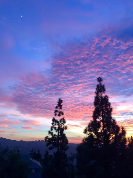 Majestueuze zonsondergang zonsopkomst boven bomen — Stockfoto