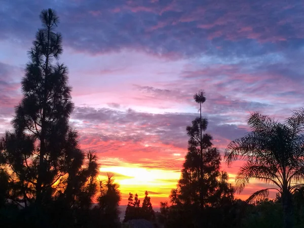 Majestuoso amanecer puesta de sol sobre los árboles — Foto de Stock