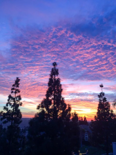 Coucher de soleil majestueux lever de soleil sur les arbres — Photo