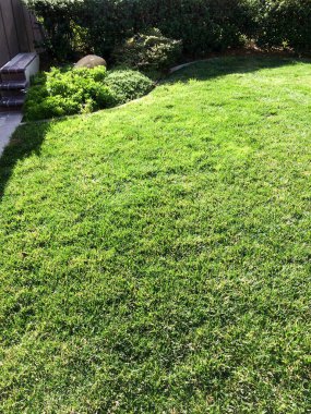 Ev bahçesi çimenlik.