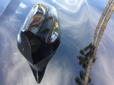 Soyut mavi palmiye ağacı arka plan boyalı