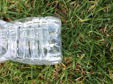Plastik su şişesi yeşil çimen çevre kavramına yakın.