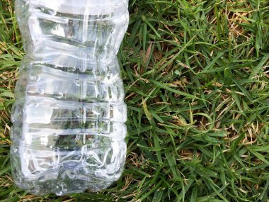 Plastik su şişesi yeşil çimen çevre kavramına yakın.