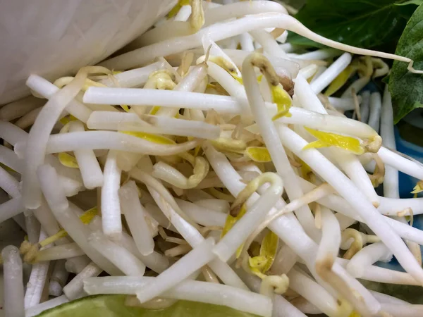 Fresh bean sprout close up — Stock Photo, Image