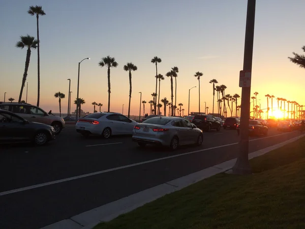 Palm trees sunset dusk sun at coastline and ocean — Stock Photo, Image