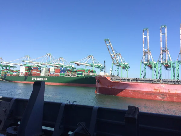Okyanus kargo gemisi yüklemek için konteynır vinçleri — Stok fotoğraf