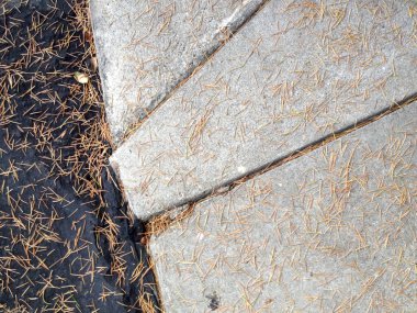 Doğaya karşı insan yapımı bronzlaşmış kuru çam iğneleri dokunun üzerinde