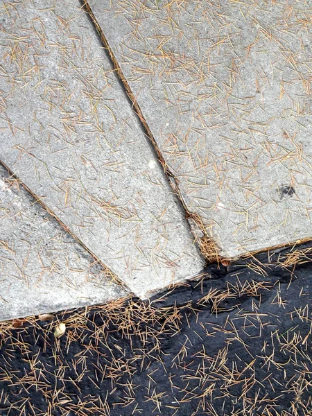 Natuurlijke versus door de mens gemaakte achtergrond gebruinde droge dennennaalden op textuur — Stockfoto
