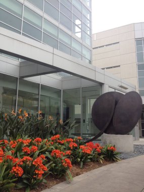 Modern mimari işletme tıbbi ofisleri