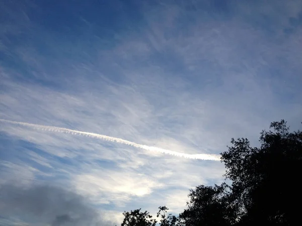 Cielo azul nube árbol fondo — Foto de Stock