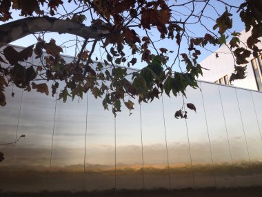 Ağaçlı modern soyut mimari arkaplan tasarımı