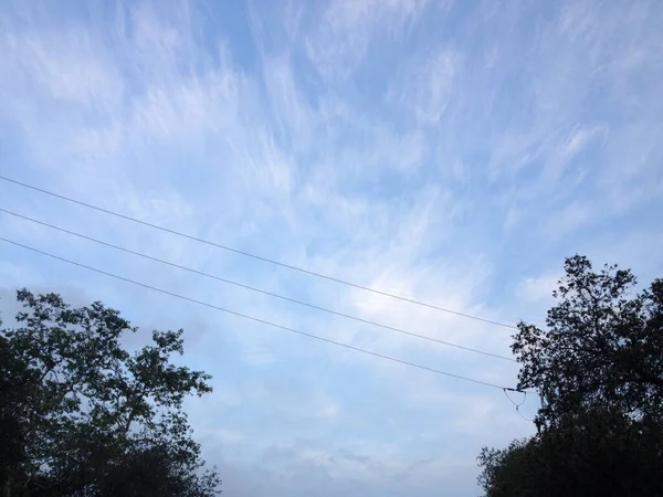 Cielo azul nube árbol fondo — Foto de Stock