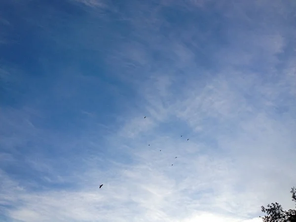 青空雲背景デザイン要素 — ストック写真