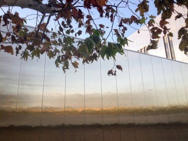 Ağaçlı modern soyut mimari arkaplan tasarımı