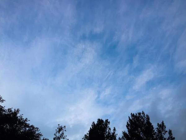 Ciel bleu nuage arbre fond — Photo