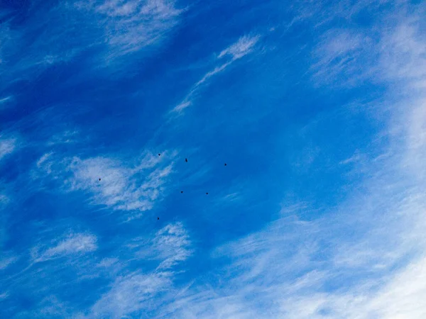 Céu azul nuvem fundo elemento de design — Fotografia de Stock