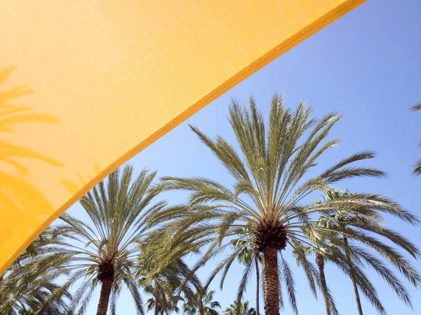 Toldos de sombra amarilla y palmeras en un día soleado — Foto de Stock