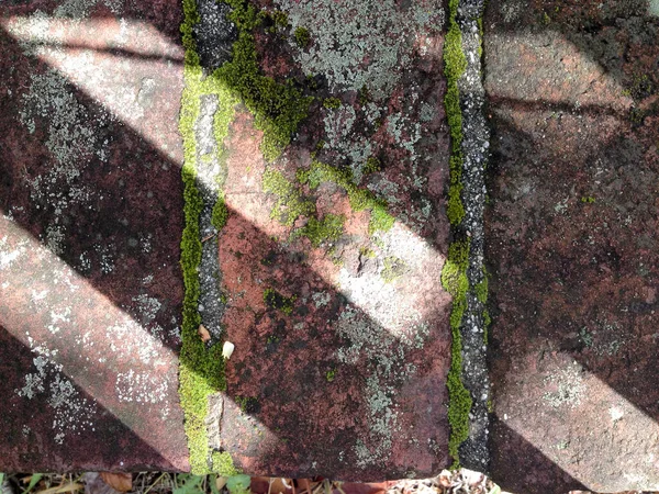 Rustika gamla tegel mossa mönster bakgrundslinjer — Stockfoto