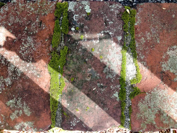 Rustika gamla tegel mossa mönster bakgrundslinjer — Stockfoto