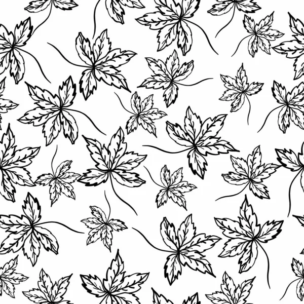 Seamless pattern with leaves on an isolated background. Coloring book for children and adults. — 图库矢量图片