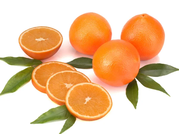 Πορτοκαλιές απομονωμένες σε λευκό φόντο — Φωτογραφία Αρχείου