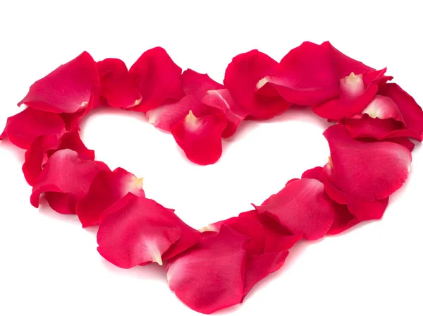 Coração de rosa pétalas de rosa — Fotografia de Stock