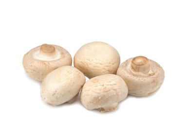 Beyaz bir arka plan üzerinde petrol