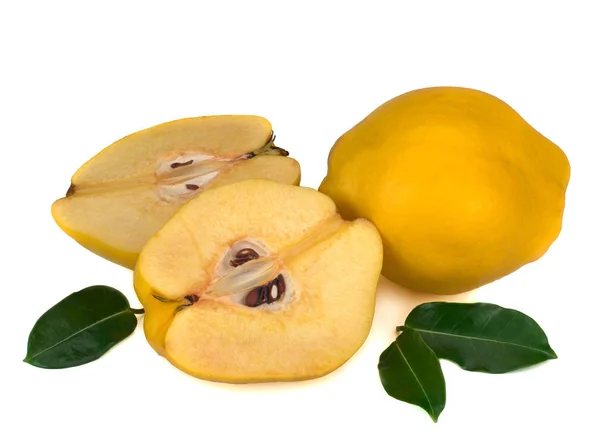 Fresh yellow quinces on white background — 스톡 사진