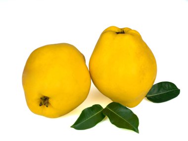 Beyaz arka planda izole edilmiş iki taze sarı ayva.