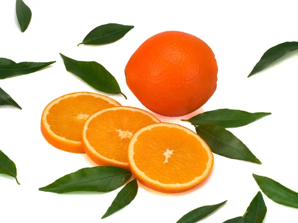 Πορτοκαλιές απομονωμένες σε λευκό φόντο — Φωτογραφία Αρχείου