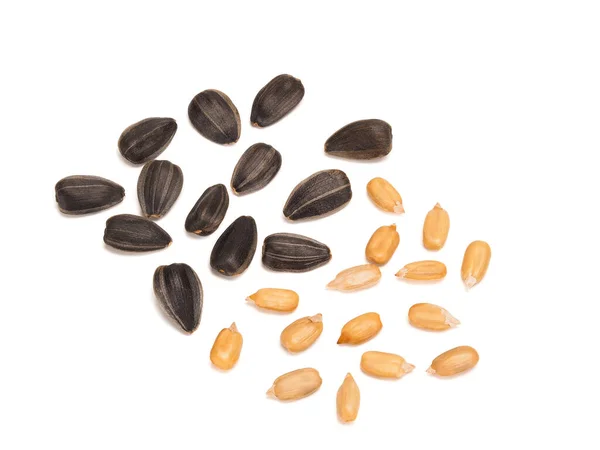 Black sunflower fried seeds peeled and unpeeled — Stock Photo, Image