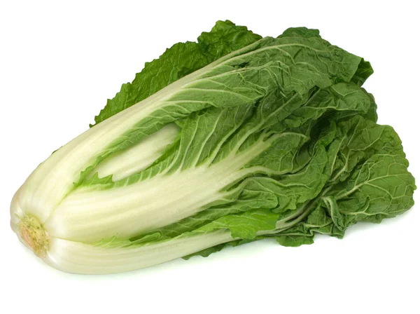 Chinese cabbage isolated on white background — Stock Photo, Image