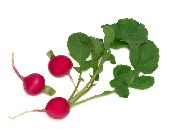 Fresh young radish isolated on white background — Stock Photo, Image