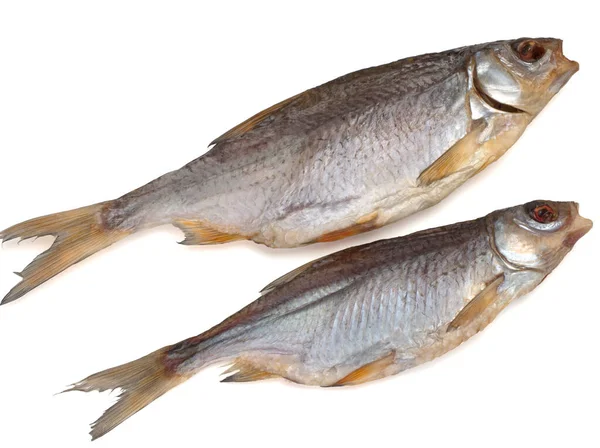 Poisson gardon salé séché sur fond blanc — Photo