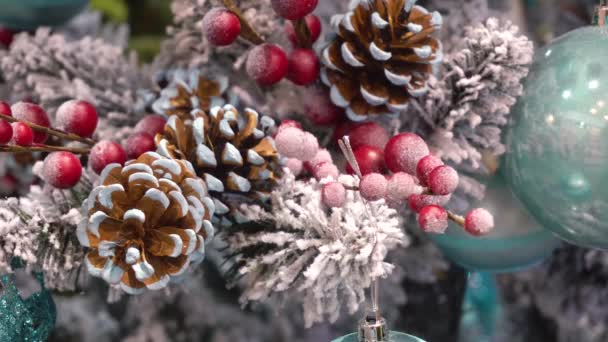 Branche de sapin poudré de neige avec jouets de Noël, cônes — Video