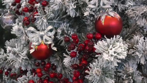 クリスマス ツリーを飾る — ストック動画