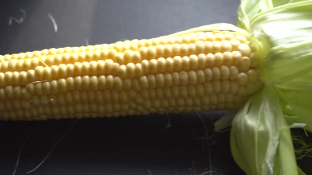 Corn bladeren liggen op een zwarte achtergrond — Stockvideo