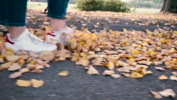 Femme marchant au parc automnal sur les feuilles jaunes — Video